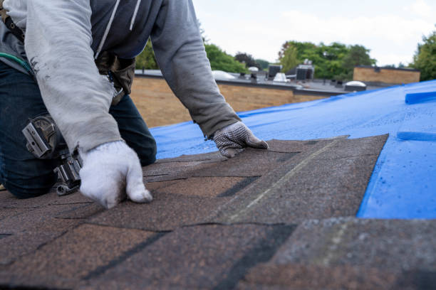 Professional Roofing Contractor in Fort Bragg, CA
